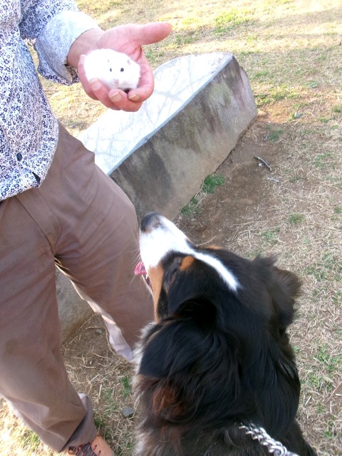 三神峯公園で