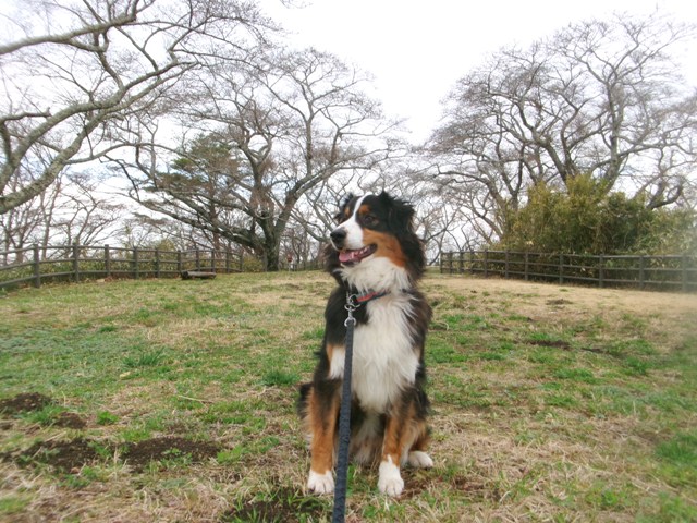 岩切 高森山公園