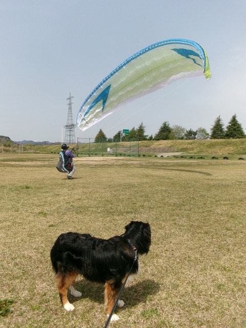 良いお天気で、