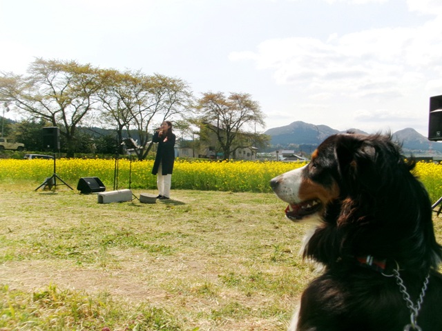 湖畔公園キャンプ場