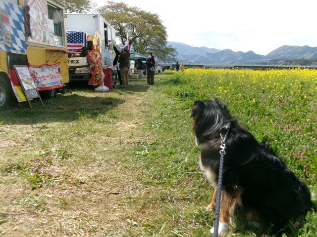 キッチンカー