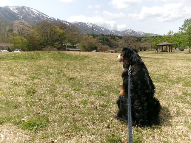 湖畔公園