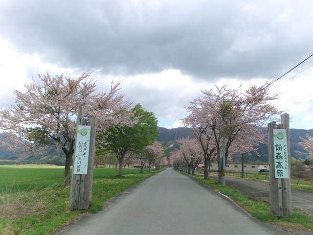 今日の前森高原