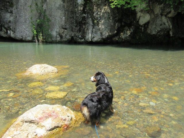 川あそび最高