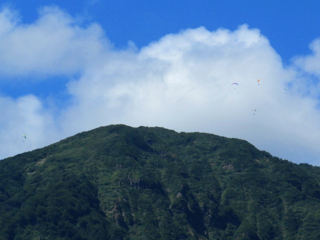 カムロ山頂付近