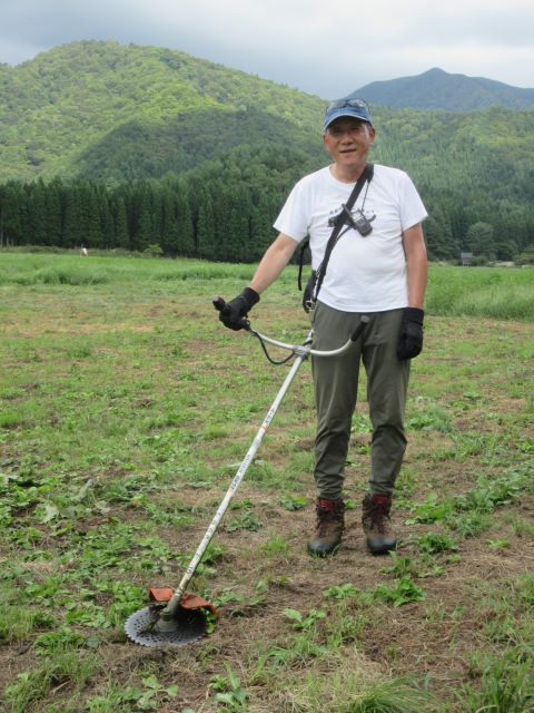 今日の草刈り