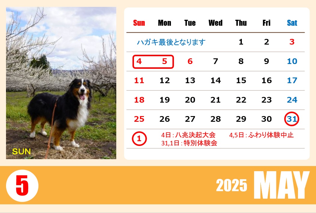 5月スケジュール