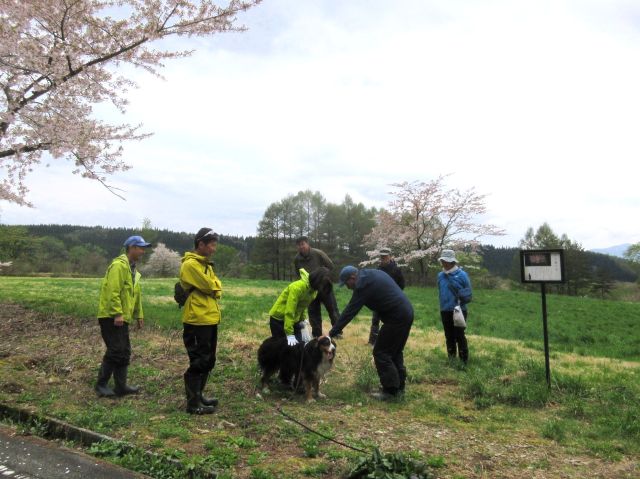 いち髪の桜は・・・
