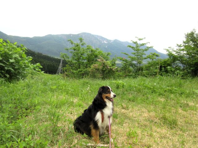 今日のＳＵＮ