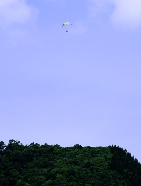 トシオさんのフライト